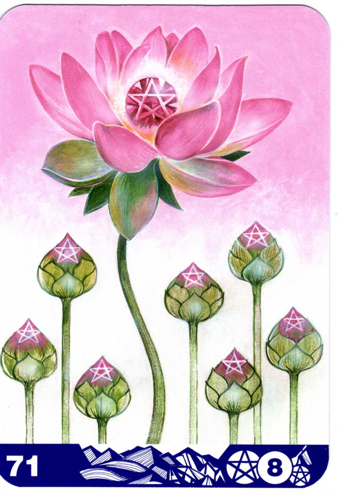 71-蓮花中的珠寶~錢幣八